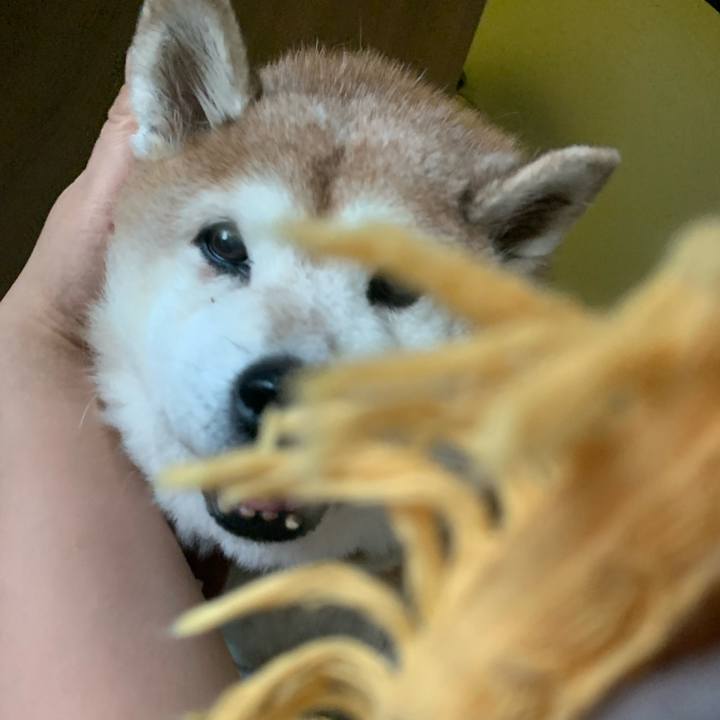 F14d45b7 e63a 440e ad85 186d59826c95 1604368122197