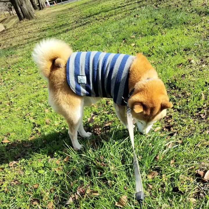 F14d856d 47ee 4d71 b3c0 7c548801d1d3 1637641418438