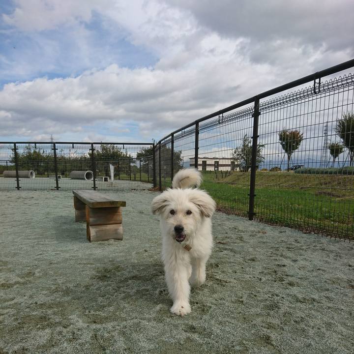 F14d9d0b de2d 42aa b21d de9d684b0a4b 1571562681742