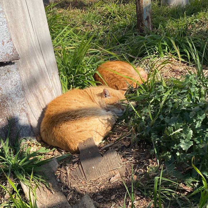 F14dd855 1bd5 4419 93f5 c0a13cb0ef65 1771032064000