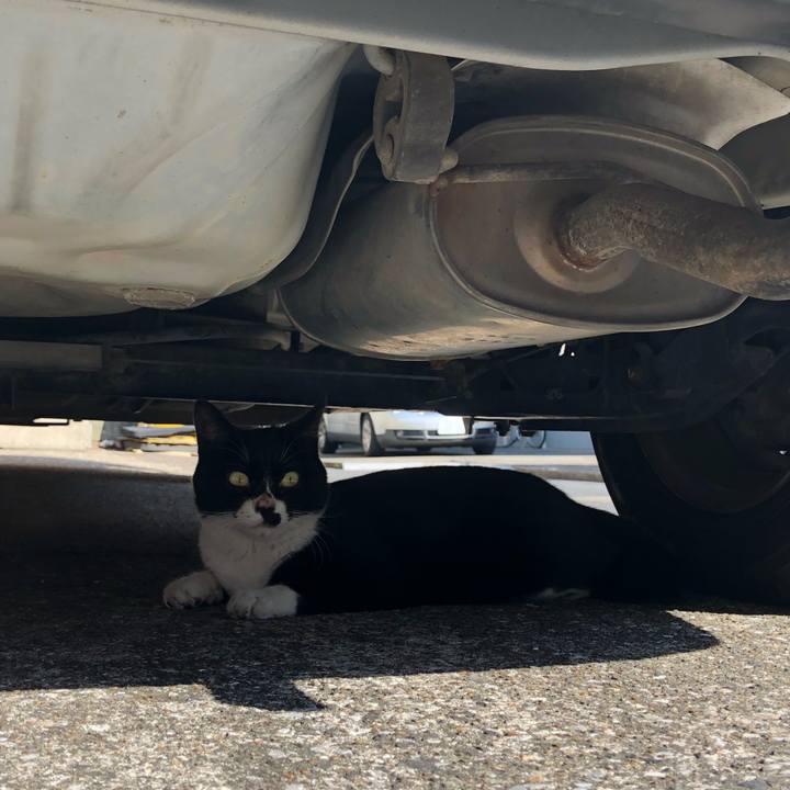 F14e0186 cb76 450b 8b7c d15d45a8f735 1536145480650