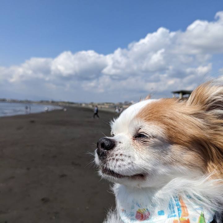 F14e4ceb d284 41c3 93b5 891685238860 1680148410104