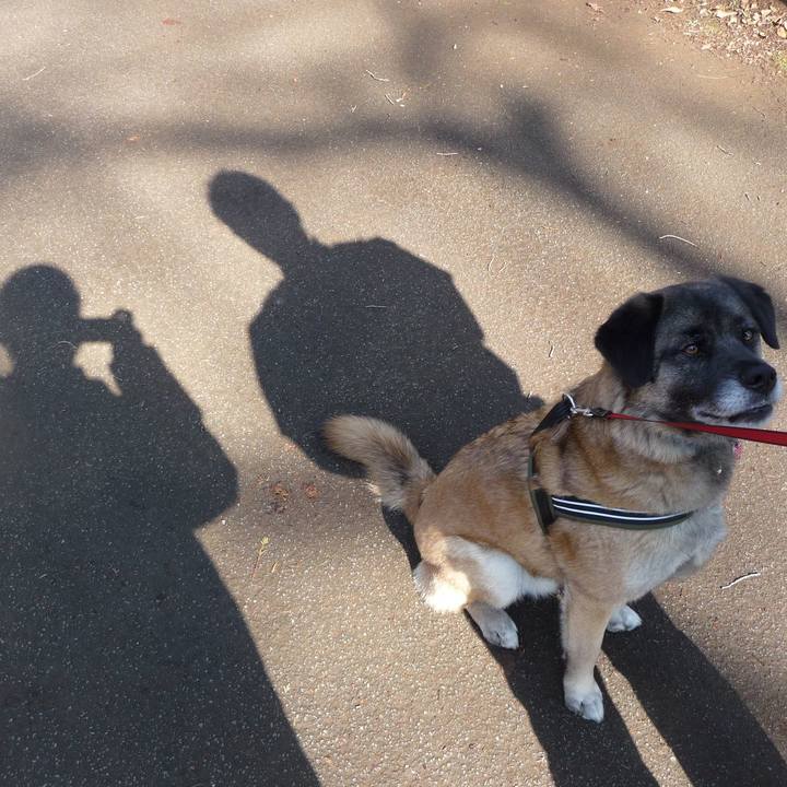 F14e724b 9b0e 4bab a1c3 3bbe261a1a28 1577757162547