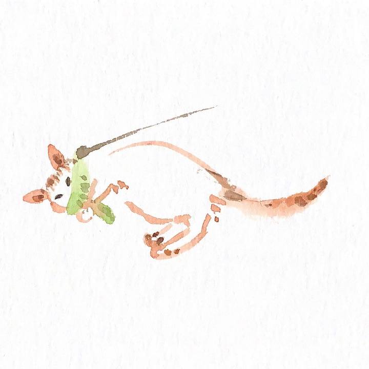 F14e7822 c8c7 443e 927a 099e28963025 1634211270959