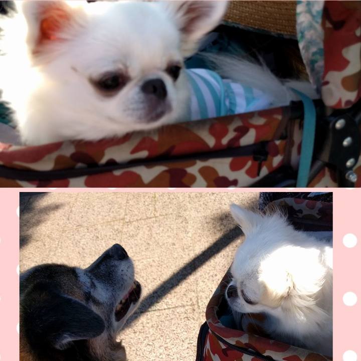 F14e7aab 84dd 48a0 9e7e bf5896957182 1530230545675