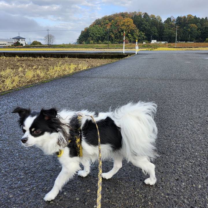 F14e88c5 ed17 4eb3 8c96 d3af660a4993 1763800489361