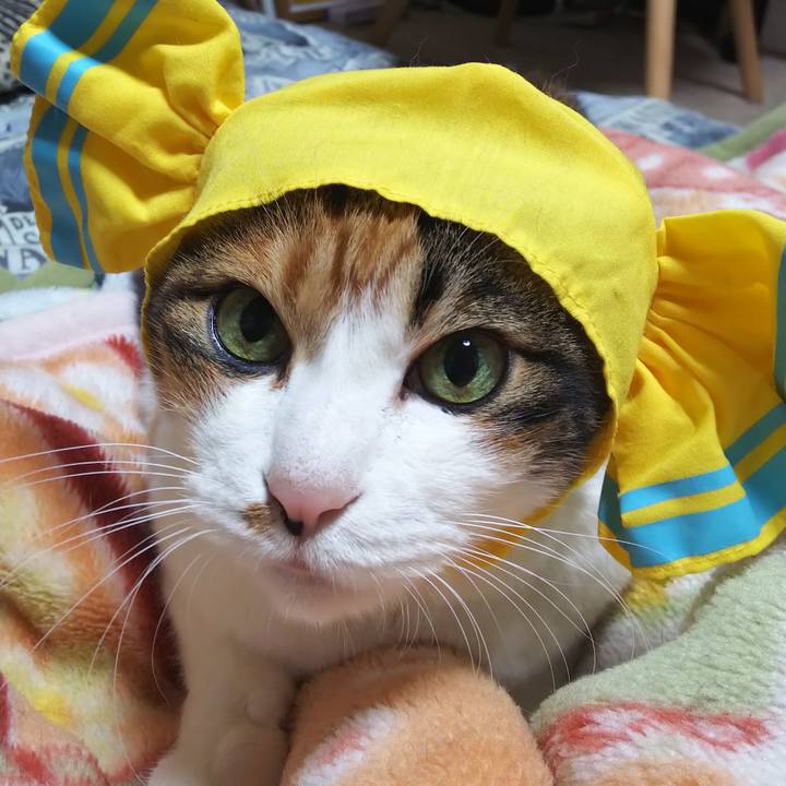 F14e9694 4df9 4dc9 8c50 c5ee3aed86ad 1572874567486