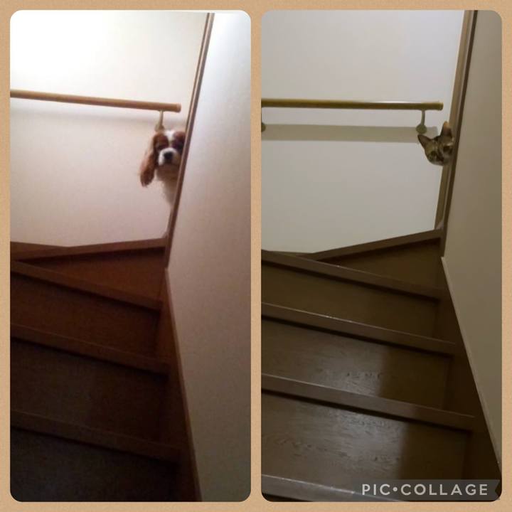 F14eb08e 9857 4f3b b3d2 2907d4b6be69 1699590675301