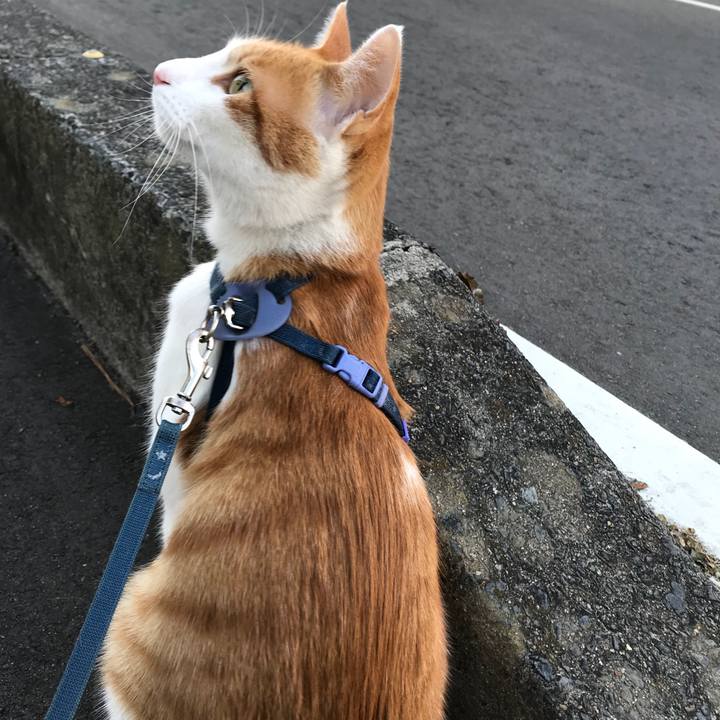 F14ec726 eb75 487f 976a e7f64dcdd27a 1516429175572