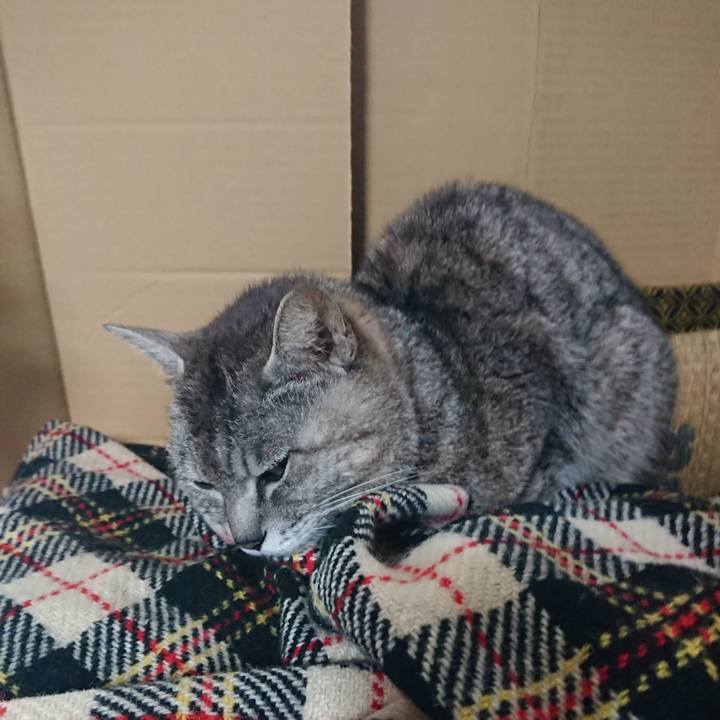 F14efb10 7c4e 4f13 ba0e eeb63923f3cb 1562533318394