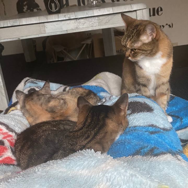 F14f0e11 7f94 417f b465 1d35d433a6b0 1590007984253