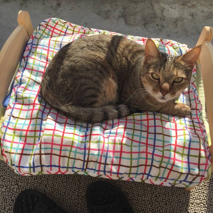 F14f1896 2de7 401c 97f0 b3bea4d0c01c 1543018747598