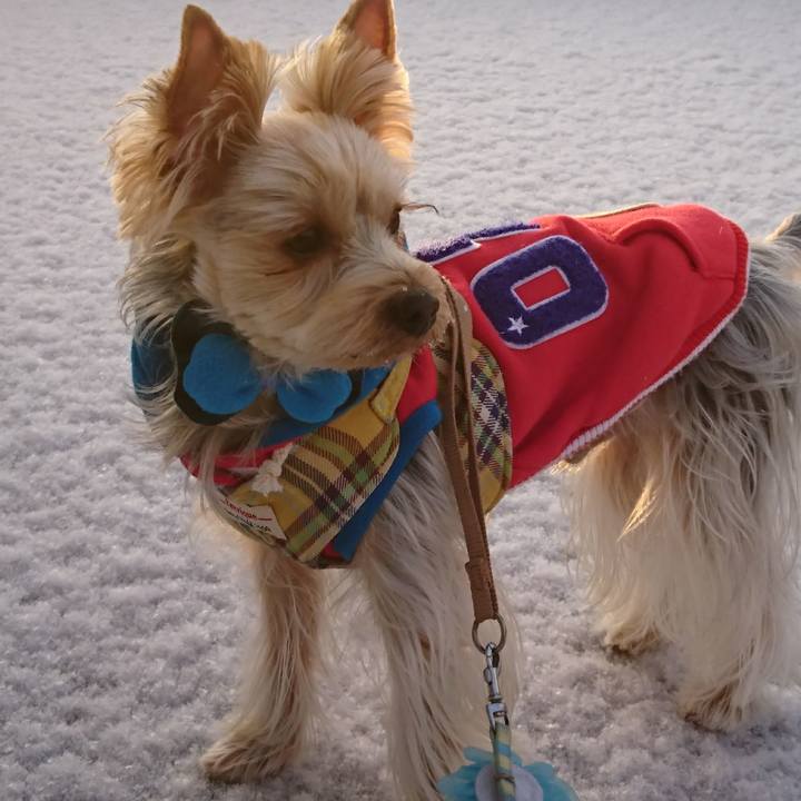 F14f24b5 99e2 4e35 a3ac b40c179dedf3 1517135019081