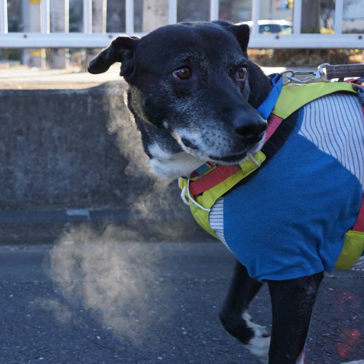 F14f2ea2 488b 45ea bc11 1142672f26f2 1769214354042