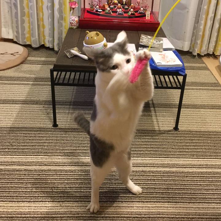 F14f4399 94c5 4d9f a1bc 6ca3b9bd00a8 1520420276095