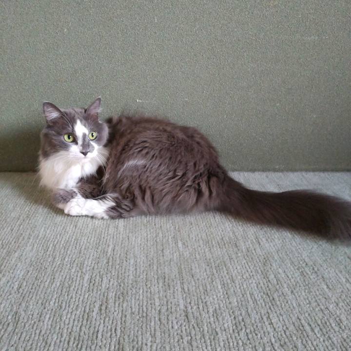 F14f9a68 0776 4962 b3c3 19dea82749ab 1661553155301