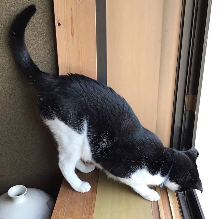 F14fc6ac c55c 44bf 8d7e 635f5d4956d7 1722143531315