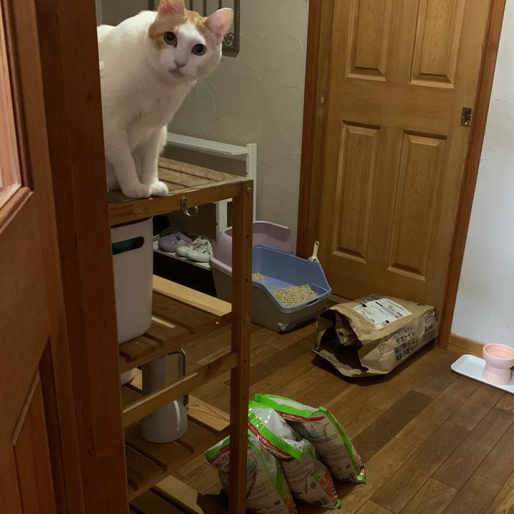 F14fc88c dad0 4558 b848 1780c9f3ea4a 1636374280240