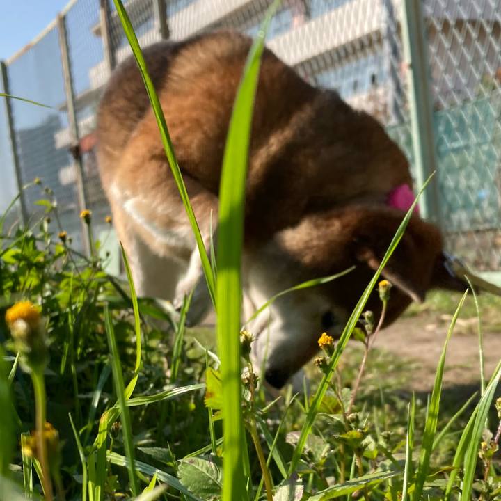 F14fd04c 89a1 4d21 b941 da858fe8aa53 1637118523457