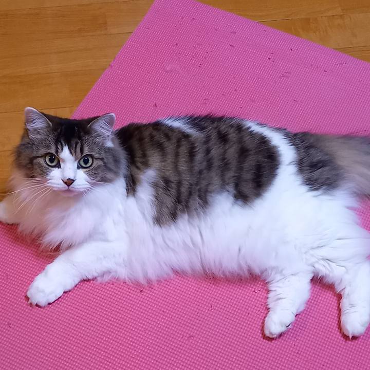 F1504d14 4309 4129 8107 fc4672a682dc 1602066983728