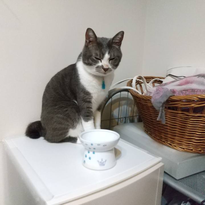 F150e870 437f 464e aa70 1d0ac184013c 1634375068769