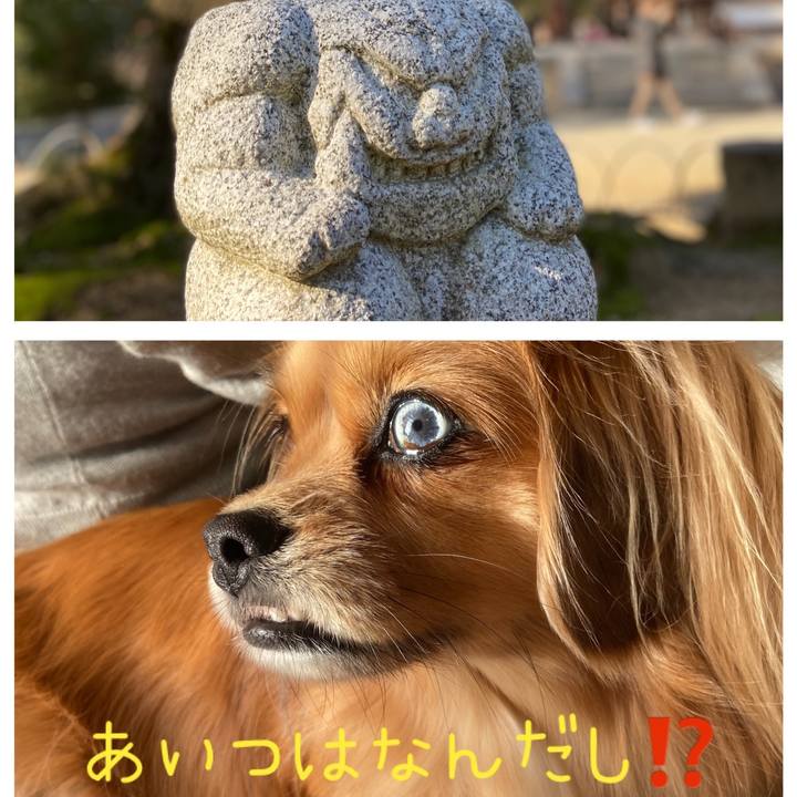 F1510241 7f71 4c43 ba5c 65002bbfb6f4 1578481362588