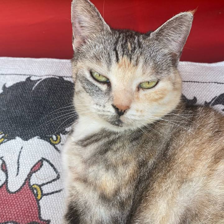 F15124bf d5f7 47b2 a4d7 56804ff0b7e4 1625898195831