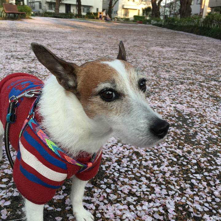 F1512cb7 a2c9 4696 8434 c60ed4f7e234 1649373543922