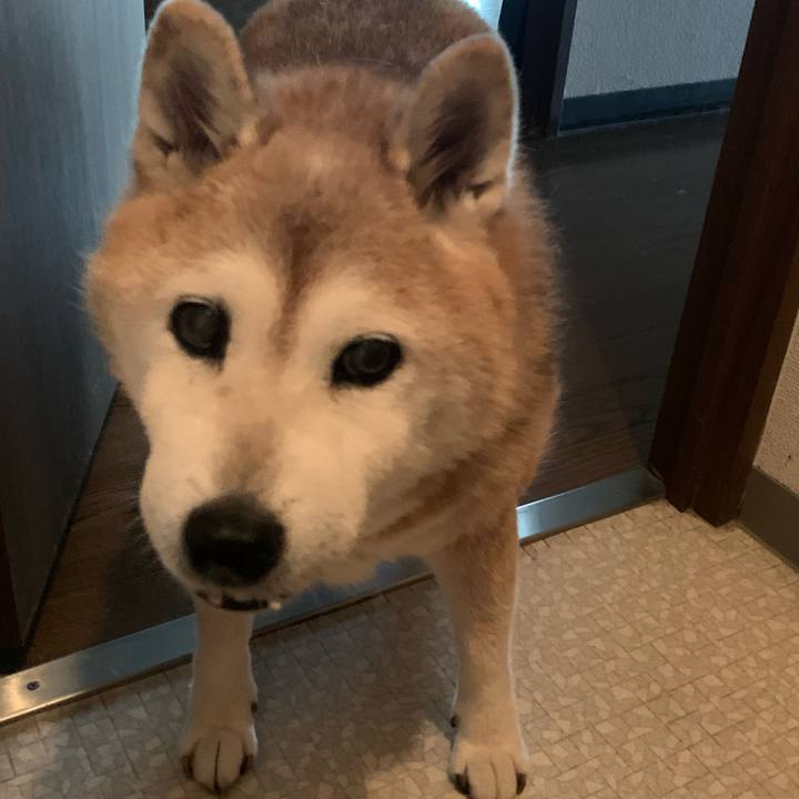 F1514bad 8a65 4526 bd7a 41f838c308fa 1660536553582