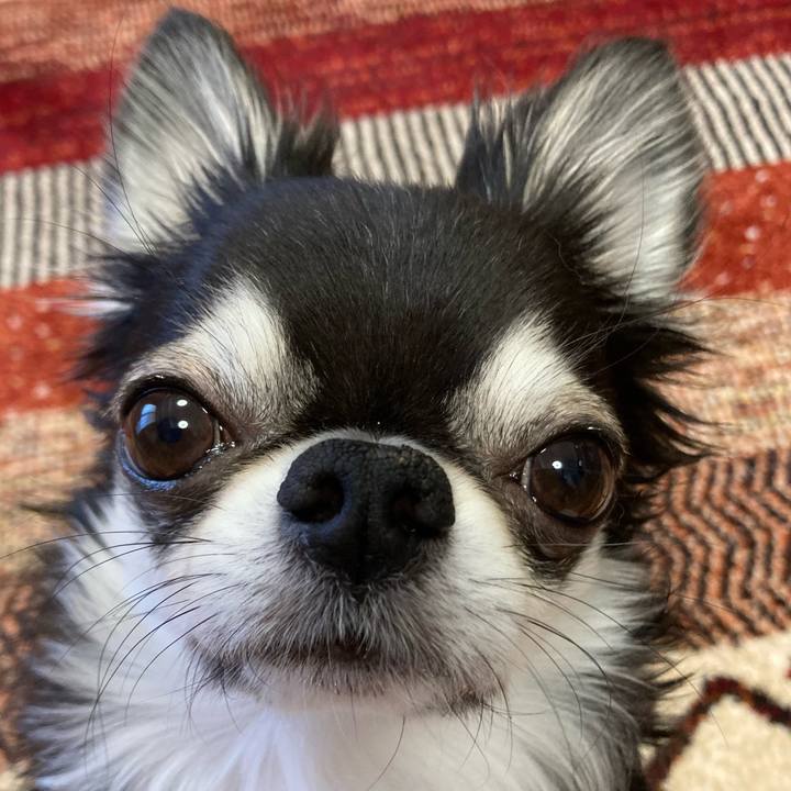 F1514f9a 5149 433e 8763 1829d7155b3c 1675552131984