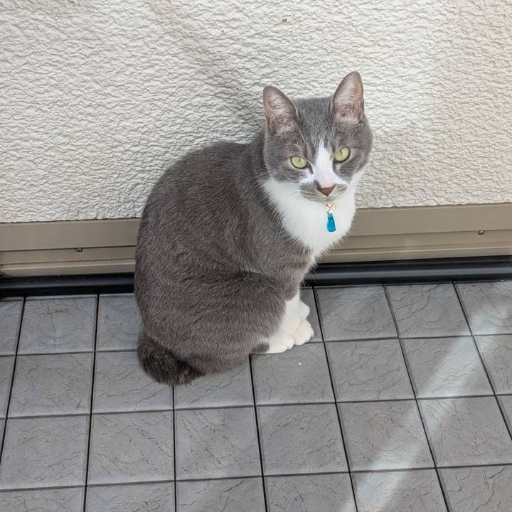 F1515b0a 223b 4771 859c ee9a416f7977 1740533626273