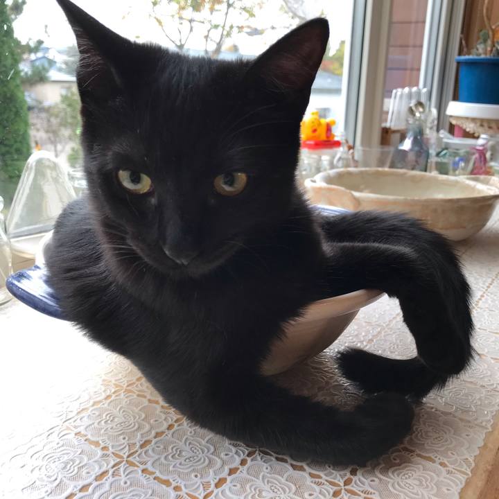 F1515dde df1b 42d5 a33e 254b14ec8736 1571439133974