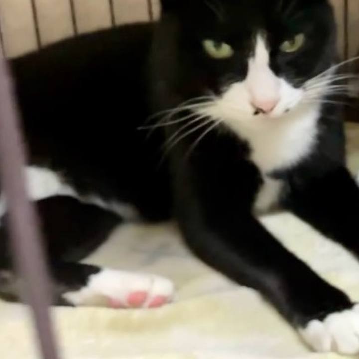 F1516991 151f 470b bdc5 47b5cd49f0d4 1730798969937