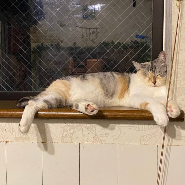 F1518218 b8d8 4375 8c1f 6eea2a0df005 1599624804294