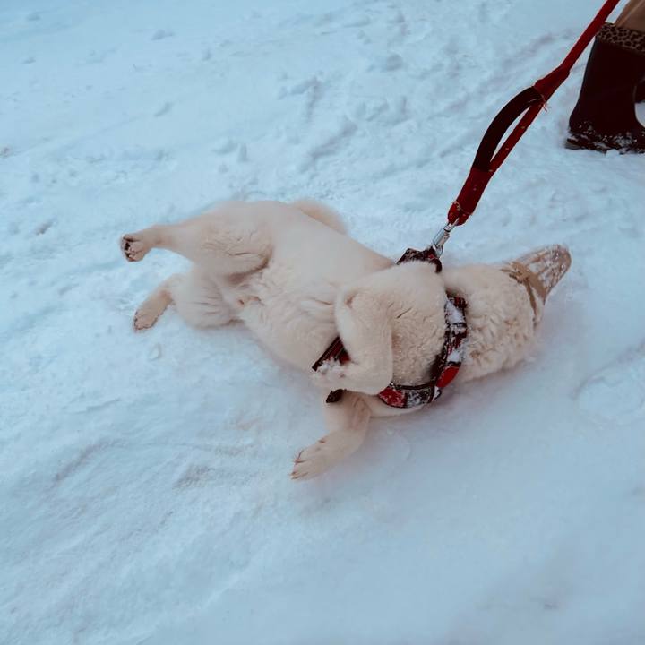 F151b2b7 dfe2 421d 96b5 454d45250b21 1707349314040