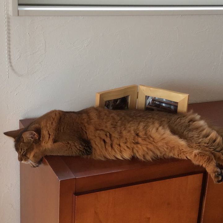 F151fd56 9d96 488d 9daa bc8fc191d9ef 1599104088567