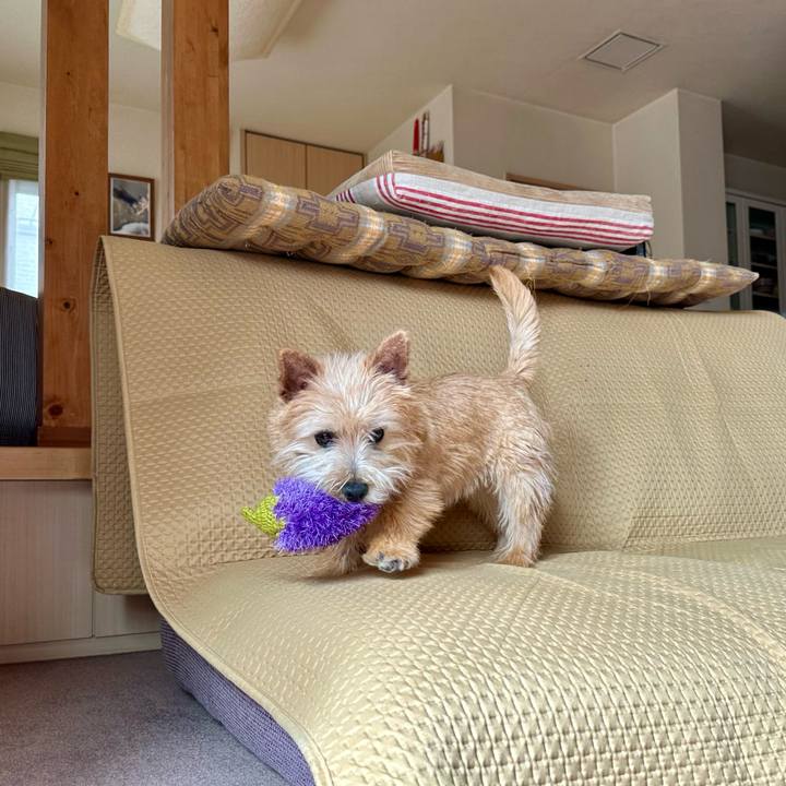 F1520a23 c08b 4cbd 9e78 728518b8a78d 1709380508552