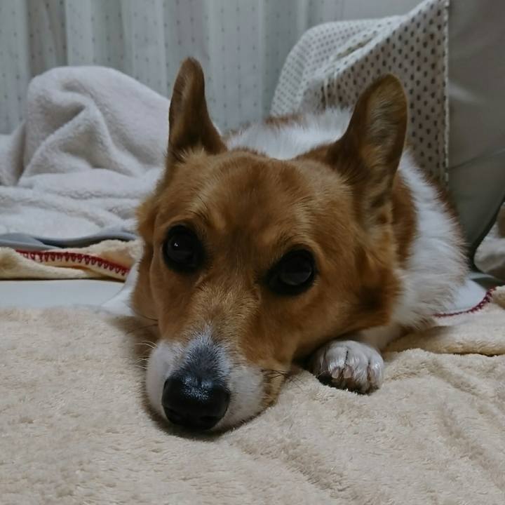 F15229bd 69bb 478a 9a09 0ce3310ac0c3 1520764526833