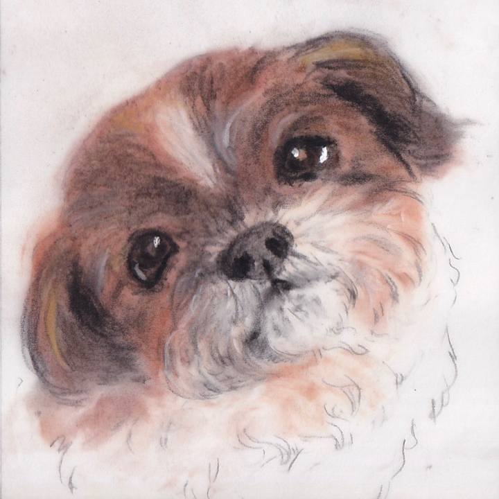 F152303b 7b6d 4861 b12a 7387105d3b25 1675299292221