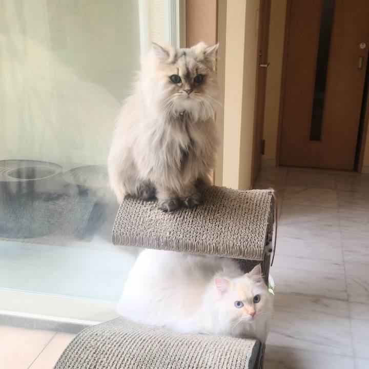 F1524ffe 804f 4d2d b5ae c95f2021a4c2 1677193467755