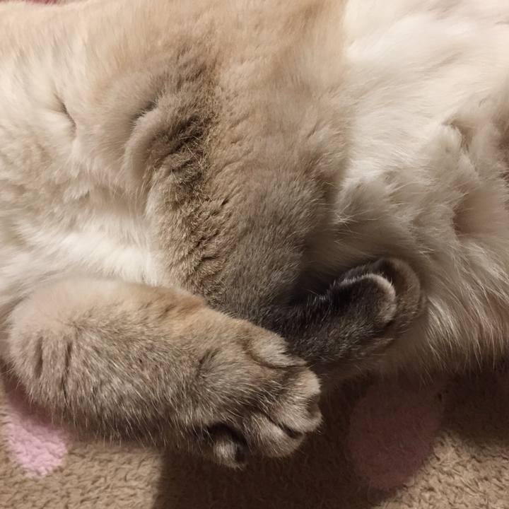 F152a7d4 73a7 4930 a9b8 875e981f0b5e 1578828691891