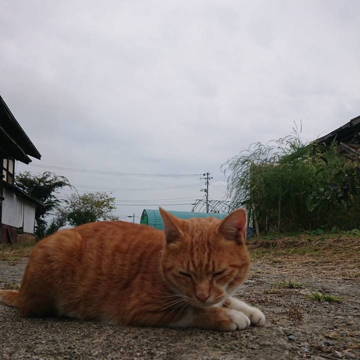 F152b2fd 30f0 4d0c a441 b4225971e646 1601703903880