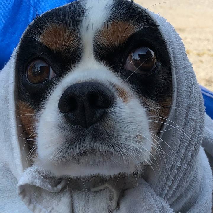 F152e250 3472 4b31 9e9d 310e9c9109ab 1567827994052