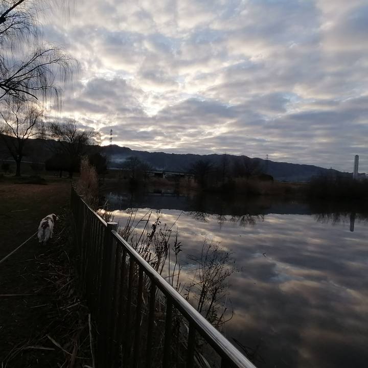 F1530e25 fae4 407d b86c 8f63c8551774 1582073535327