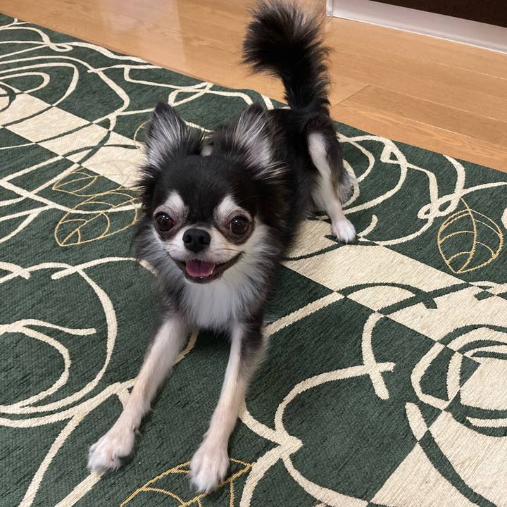 F153812e bc78 4fb4 92ae 87e9fdc60ea8 1634359865432