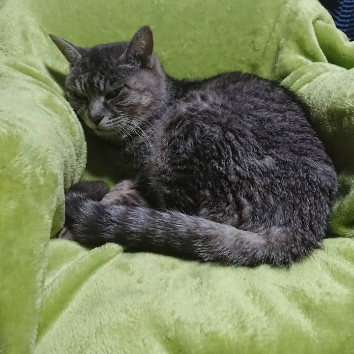 F1539251 37c7 4f62 9b20 2979536fe1f5 1582275927759