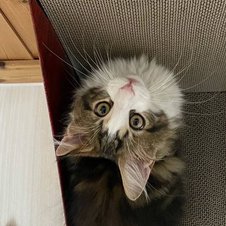 F153ac57 2d63 4484 8d1c 6b9e3fb645f9 1633428045158