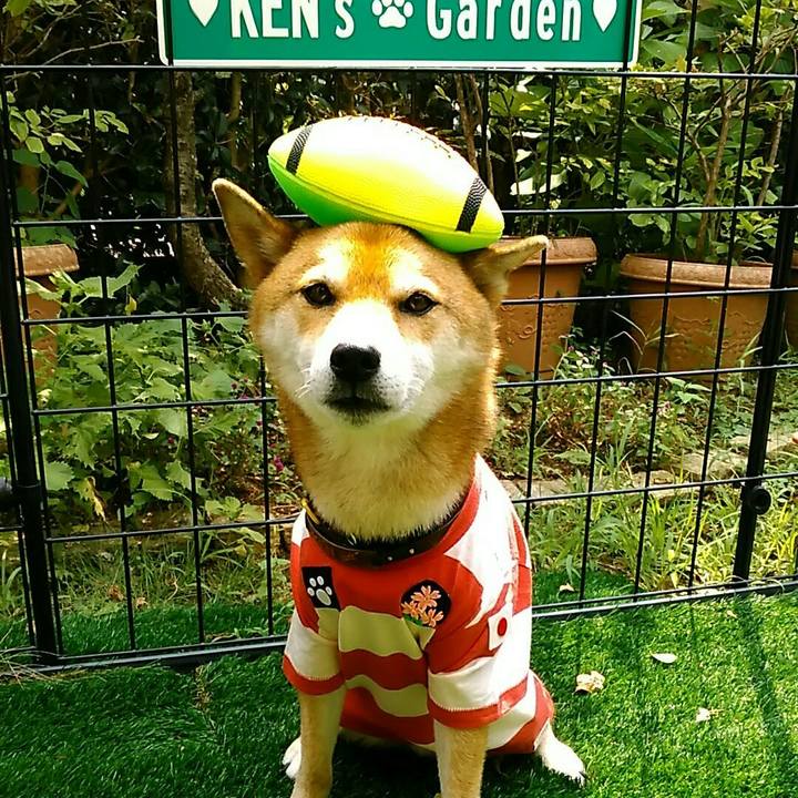 F153d9c4 eb44 42d6 b730 0790aec00f7d 1567395613279