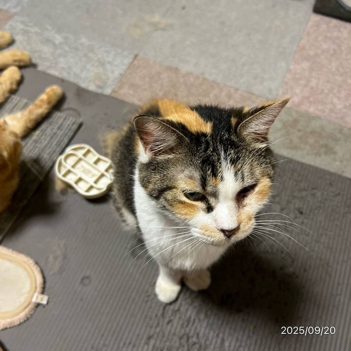 F1548082 8e3f 4cf3 b596 0faaeab3bfe2 1758410777410