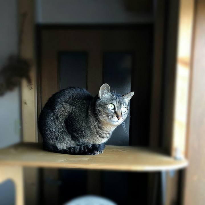 F1549949 7071 4825 9430 b419417a9ca5 1580517298303